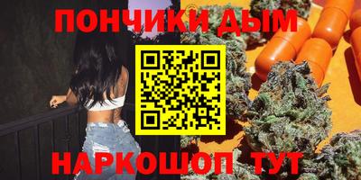 прущие грибы Шахты