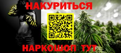 прущие грибы Шахты