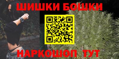 прущие грибы Шахты