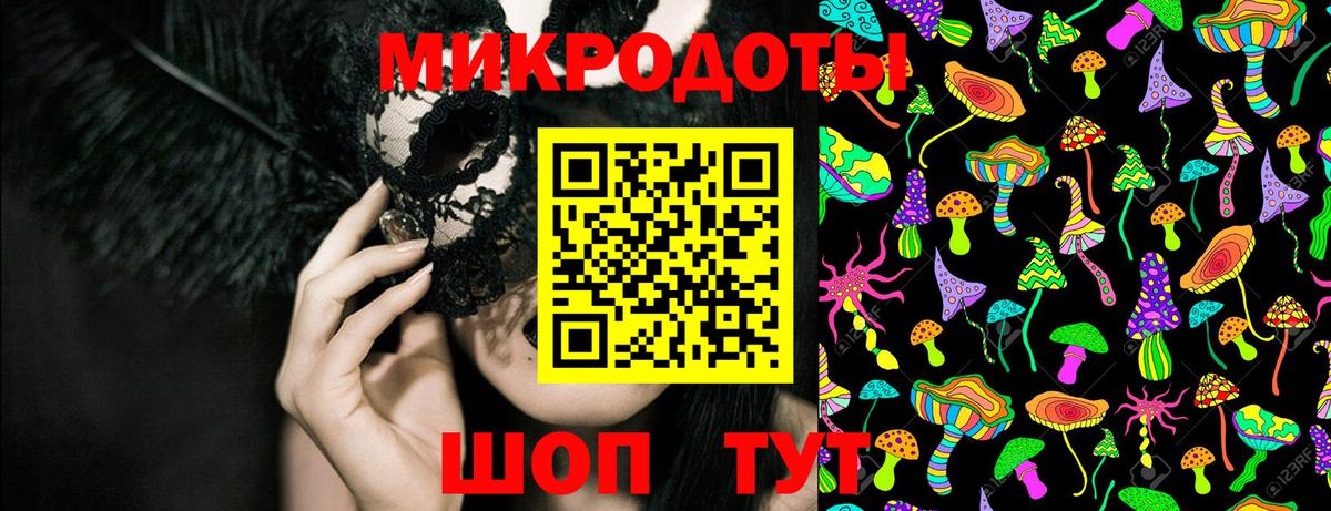 Псилоцибиновые грибы Cubensis Вязьма
